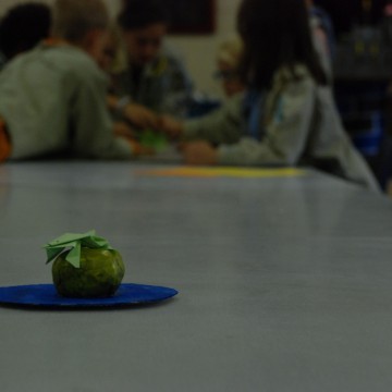 DSC 0190 - Scouts en Gidsen Zaventem 